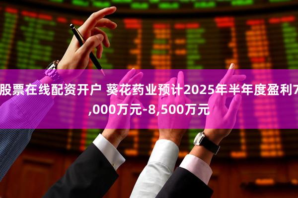 股票在线配资开户 葵花药业预计2025年半年度盈利7,000万元-8,500万元