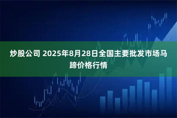 炒股公司 2025年8月28日全国主要批发市场马蹄价格行情