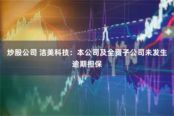 炒股公司 洁美科技：本公司及全资子公司未发生逾期担保
